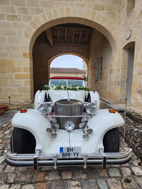 Zimmer Golden Spirit de face